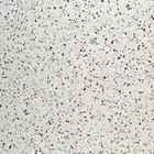 Compact terrazzo